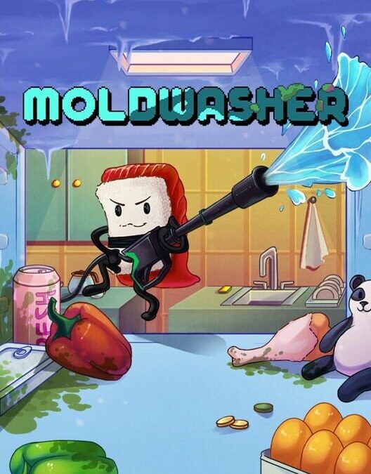 Moldwasher