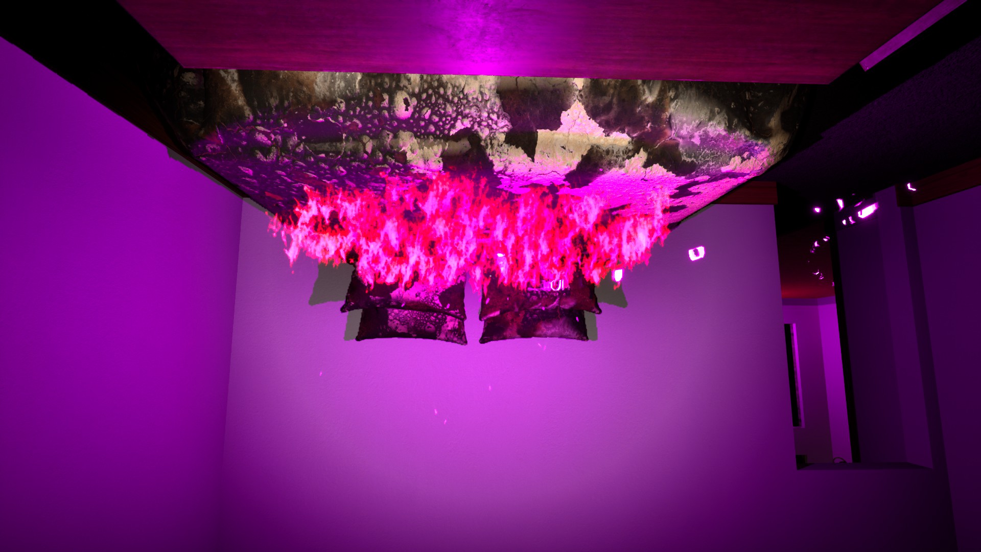 The House Dreams Along With Them 
