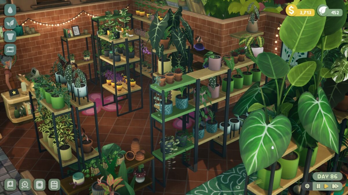 Leafy Corner Review