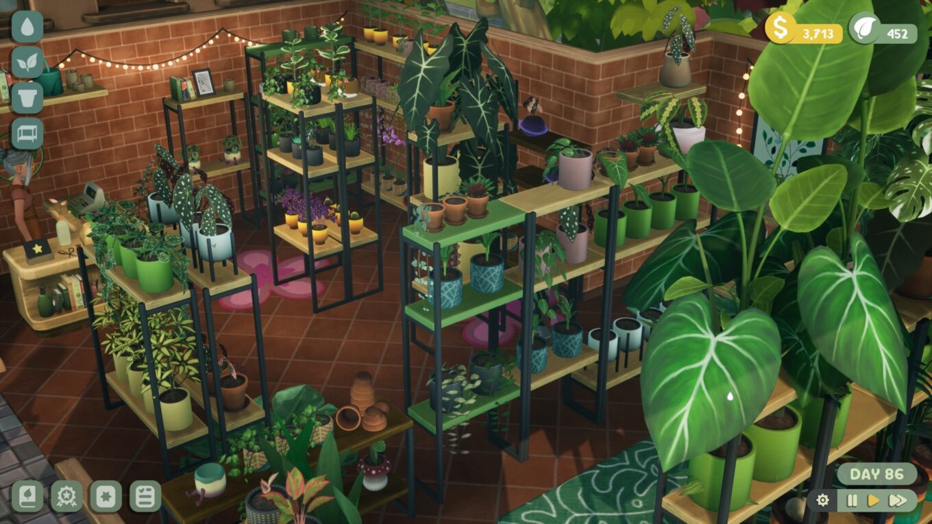 Leafy Corner Review