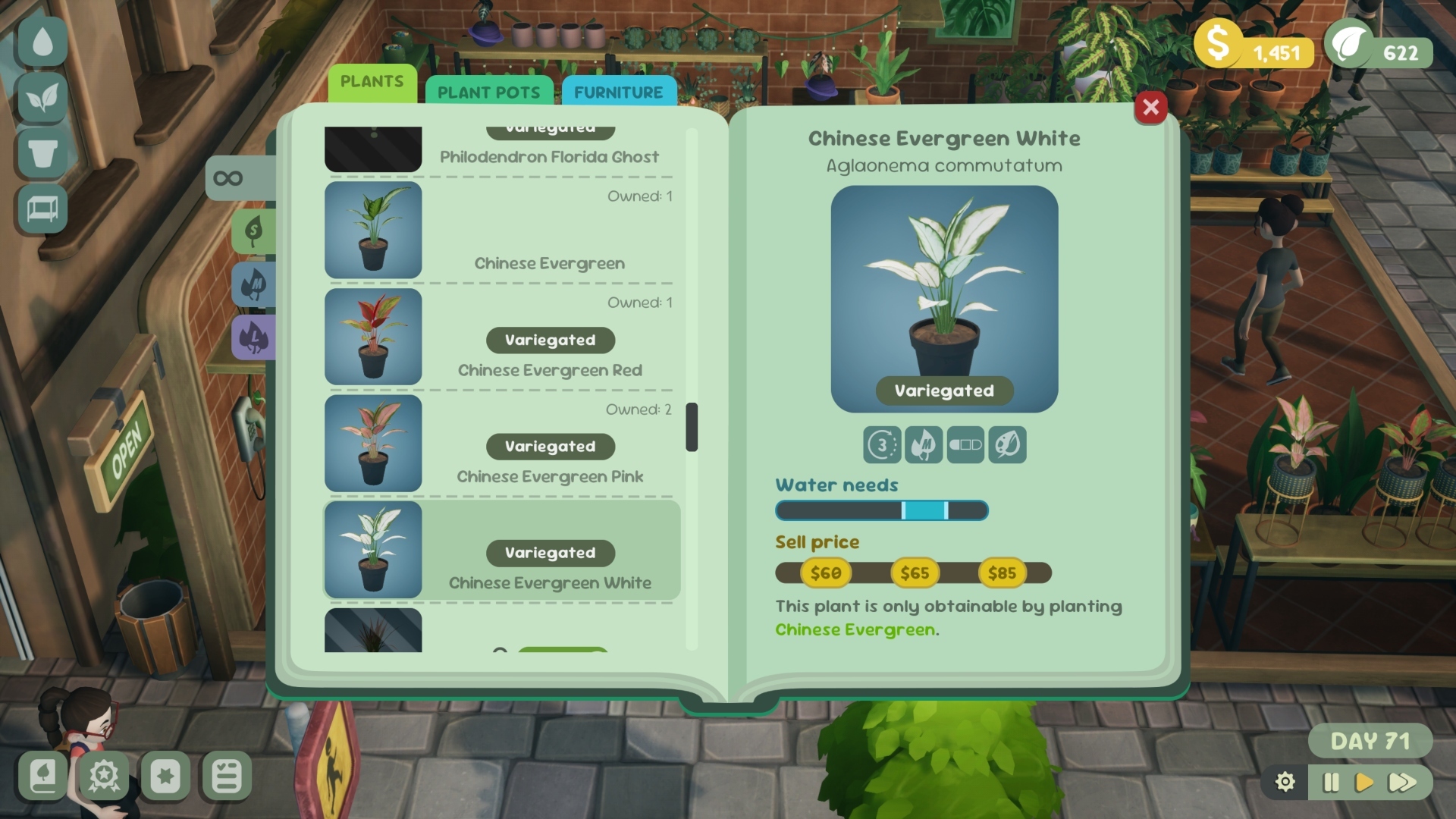 Leafy Corner Review