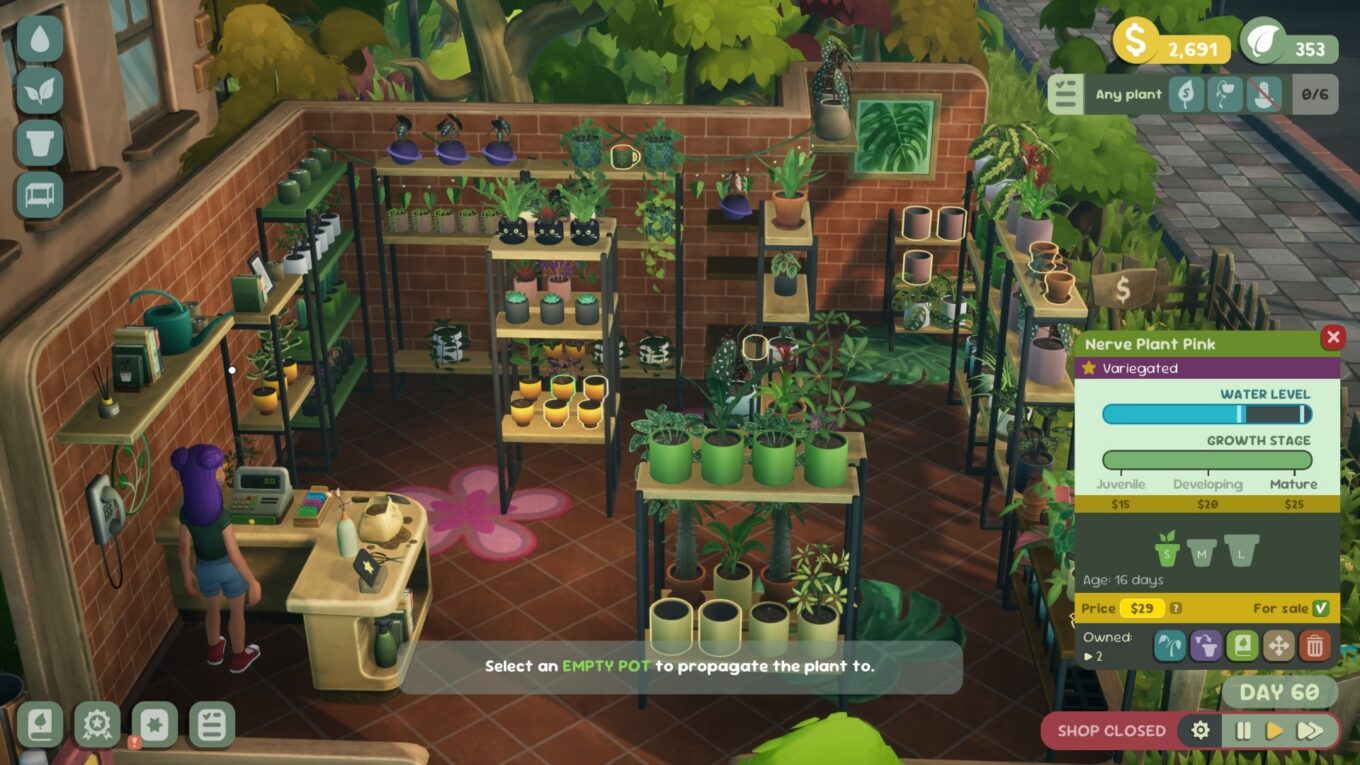 Leafy Corner Review