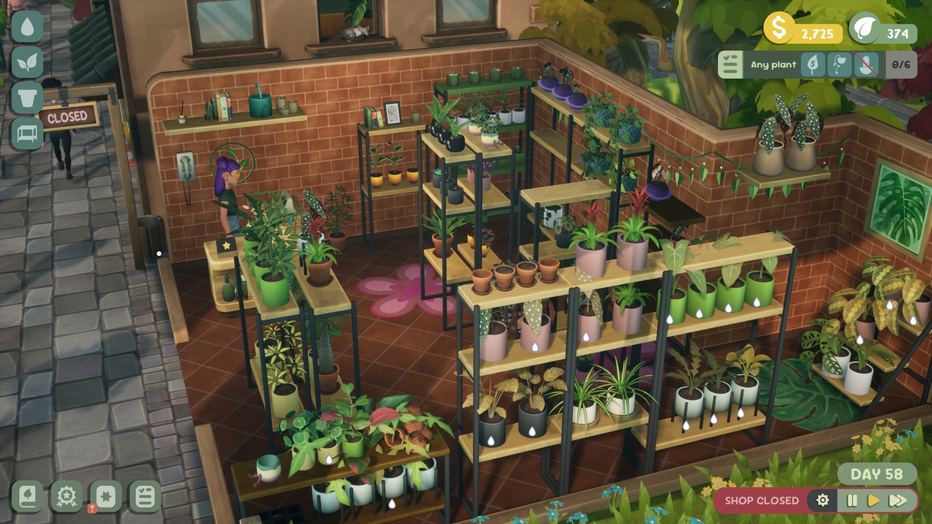 Leafy Corner Review