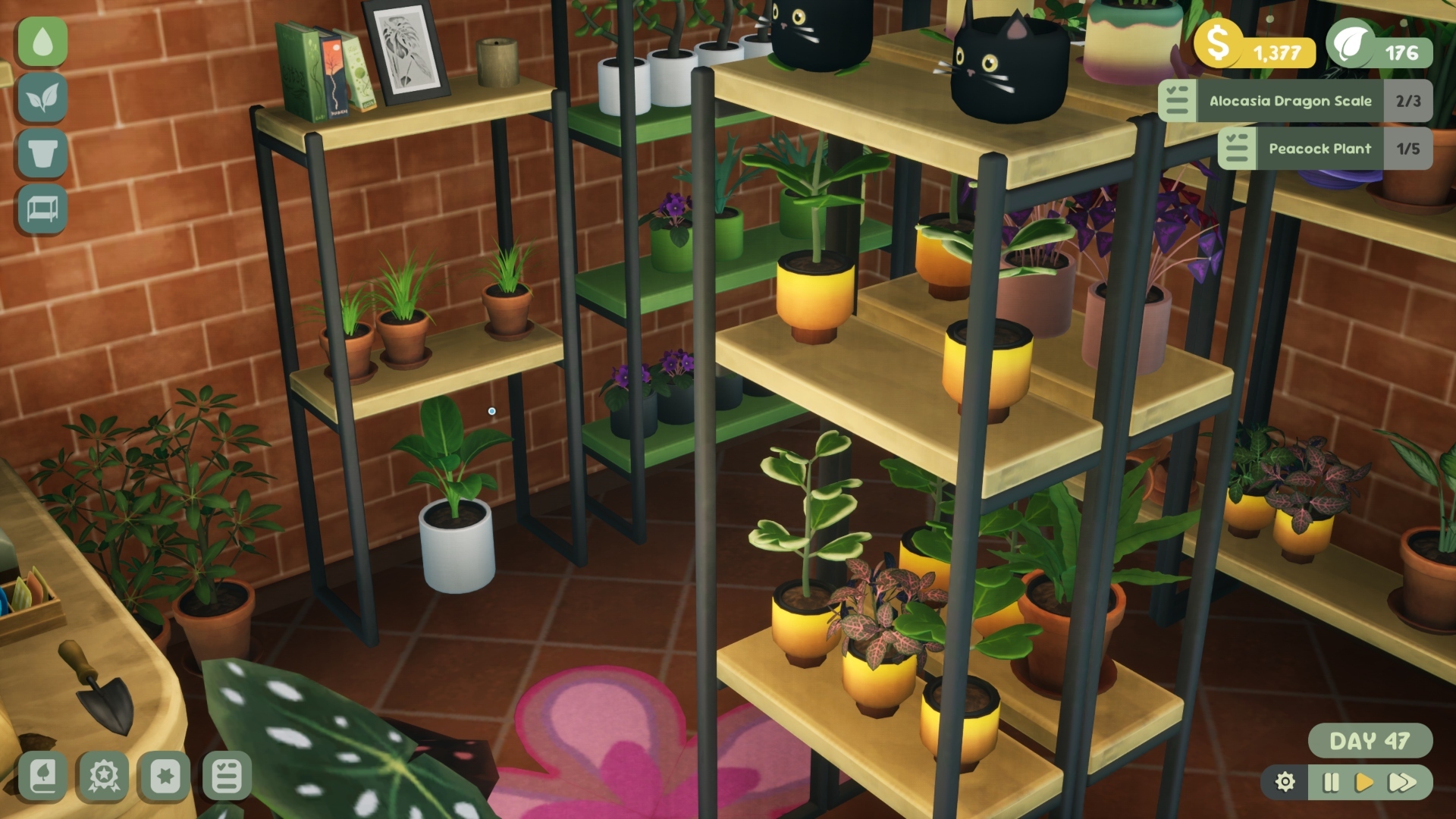 Leafy Corner Review