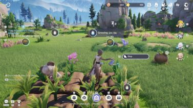 Aniimoo review
