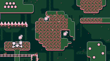 Turnip Mountain Review